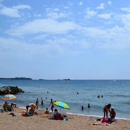 Oliviers Antibes