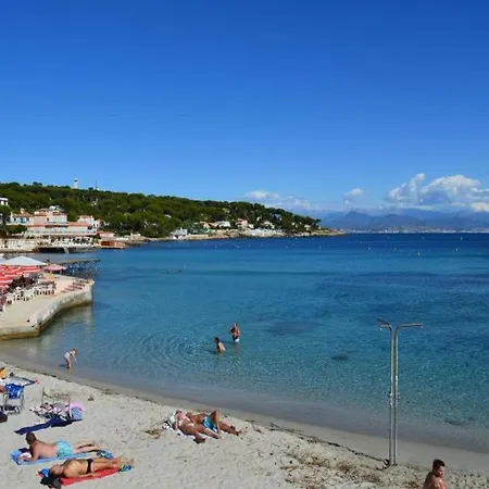 Oliviers * Antibes